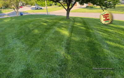 Scott T. – Lawn Hall of Fame