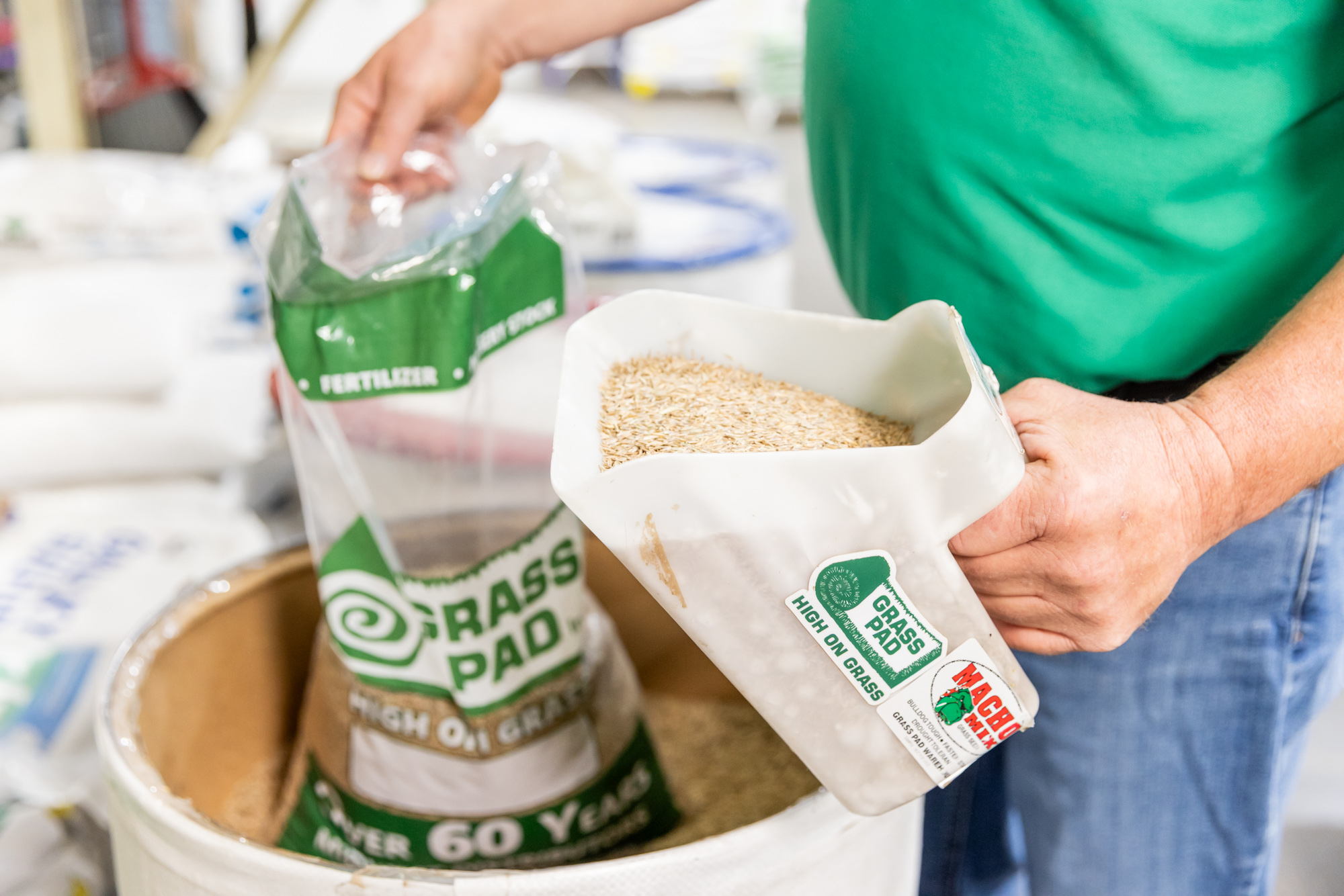 Grass Seed