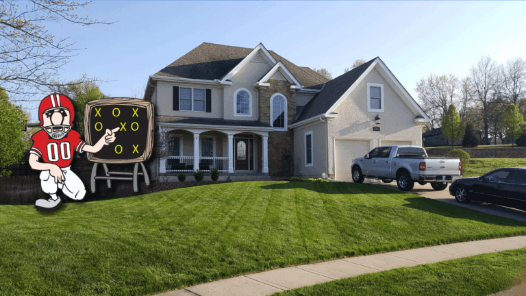 How to Control Weeds After Overseeding | Grass Pad