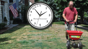 How to Control Weeds After Overseeding | Grass Pad