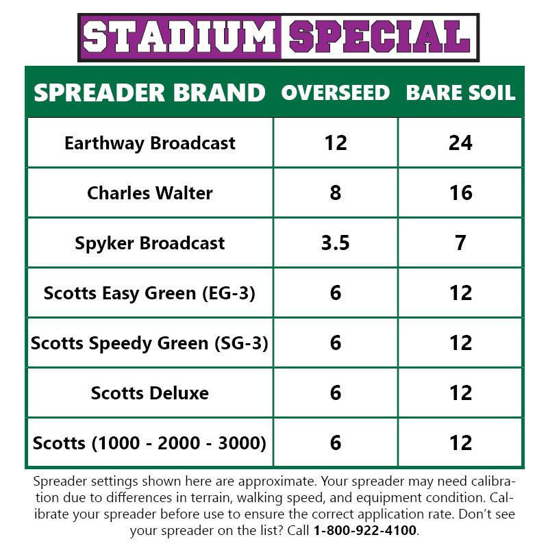 Stadium Special Rye Grass