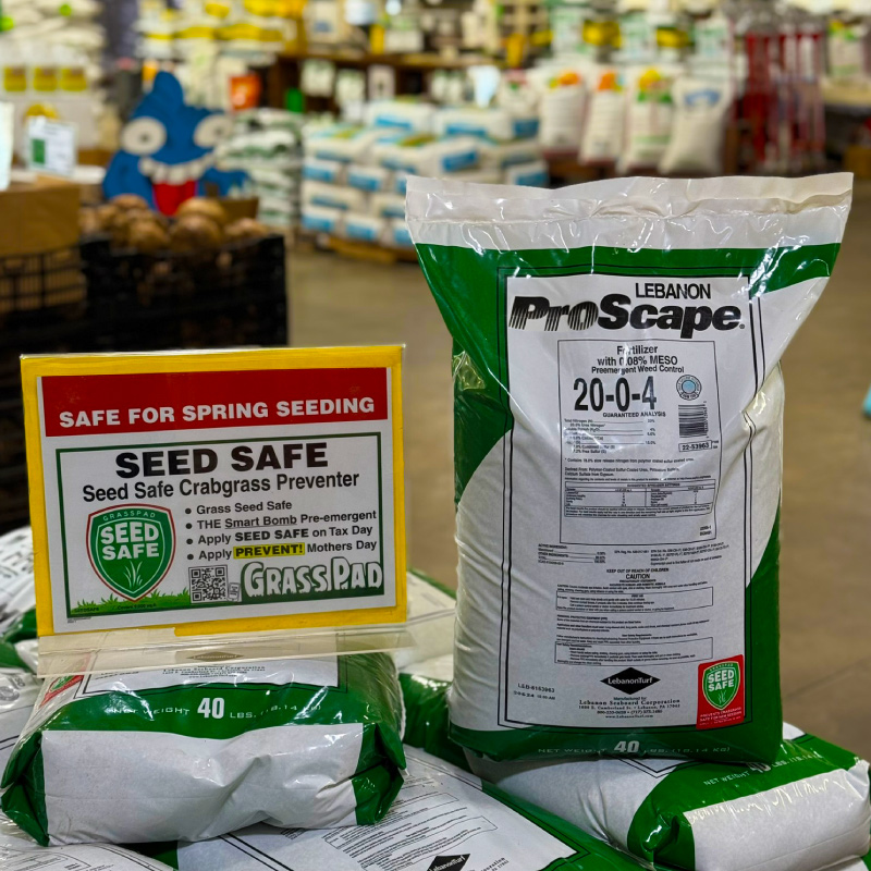 Seed Safe