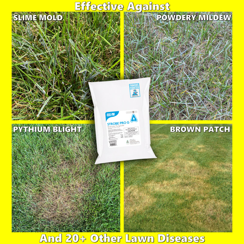 Fungus Fighter